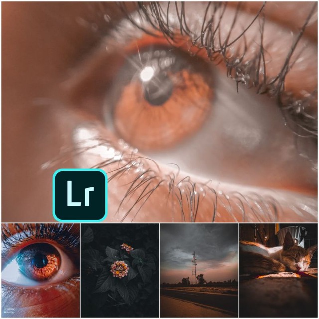 لايت روم/photography