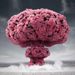 خلاقیت، بدون مرز