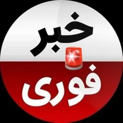 کانال خبری ࡆ اخبار انتخابات ࡆ همستر