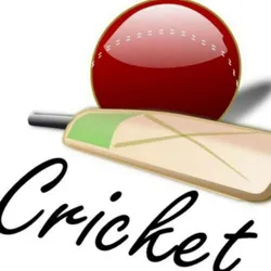 Cricket 11 News