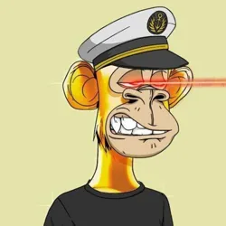 میم کوین بازا | JVAD