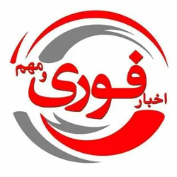 اخبار فوری/ انتخابات همستر