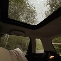 أنتَ تستَطِيع _ 𝒚𝒐𝒖 𝒄𝒂𝒏.