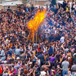 📚 کتابخانه فرهنگیان 📚