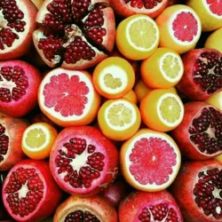 گیزمیزدونی